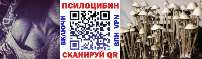 Галлюциногенные грибы MAGIC MUSHROOMS  Черняховск 