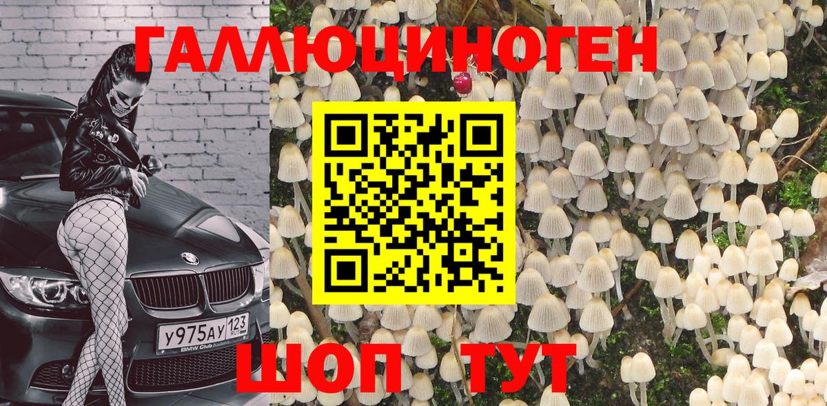 Галлюциногенные грибы мухоморы Черняховск